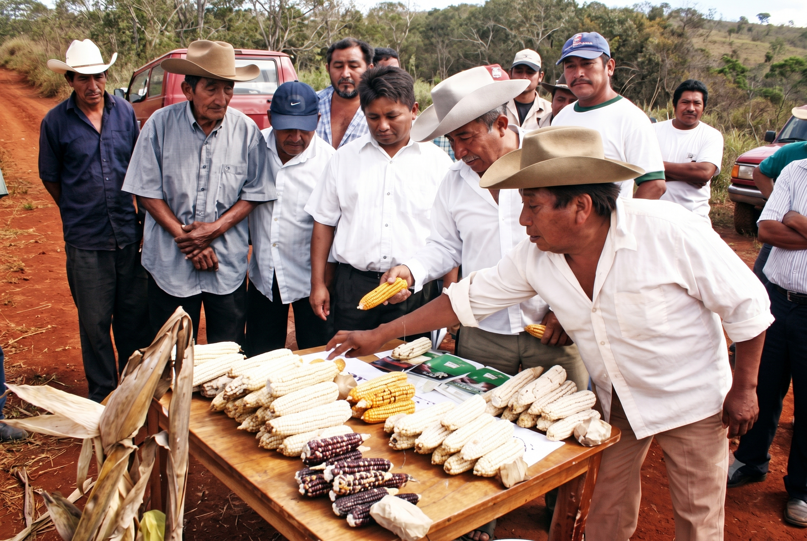 Capacitación Técnica